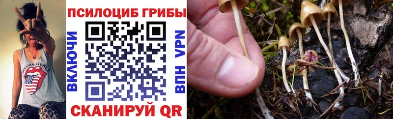 Галлюциногенные грибы MAGIC MUSHROOMS Котово