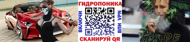 дарнет шоп  Котово  Бошки Шишки семена 